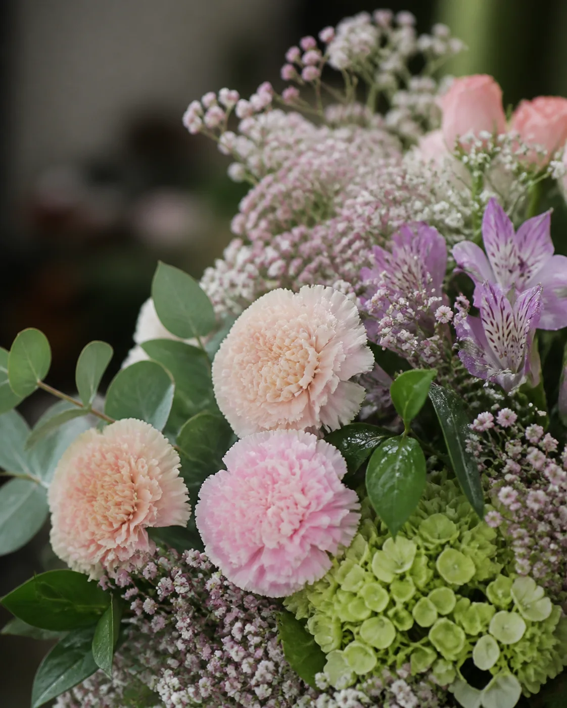 Flores variadas para profesionales