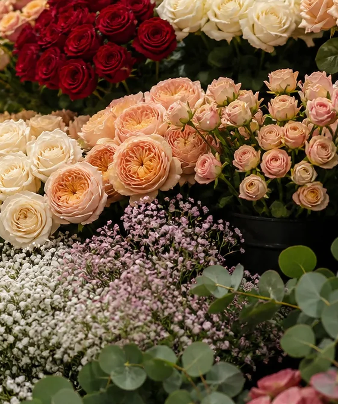 Rosa Garden en primer plano